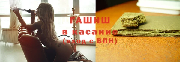 гидра Богородицк