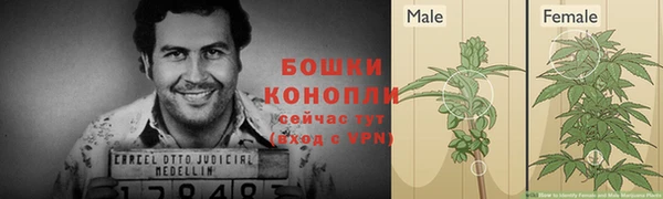 гидра Богородицк