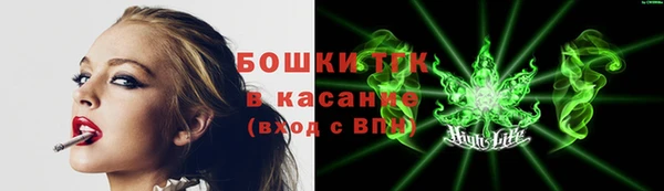гидра Богородицк