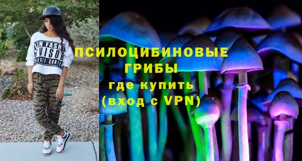 гидра Богородицк
