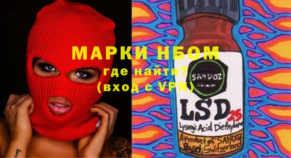 гидра Богородицк